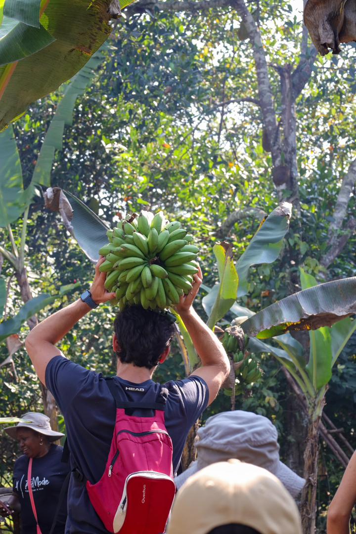 African wildlife in natural habitat